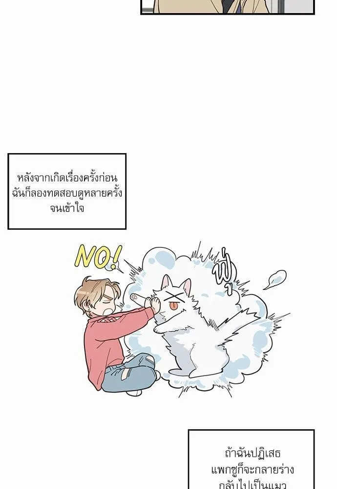My One and Only Cat ตอนที่ 645 My One and Only Cat ตอนที่ 645