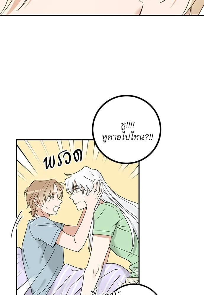 My One and Only Cat ตอนที่ 6456