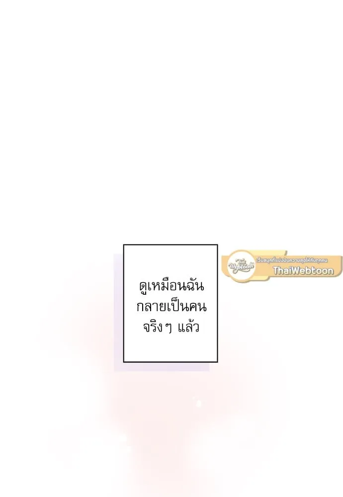 My One and Only Cat ตอนที่ 6461