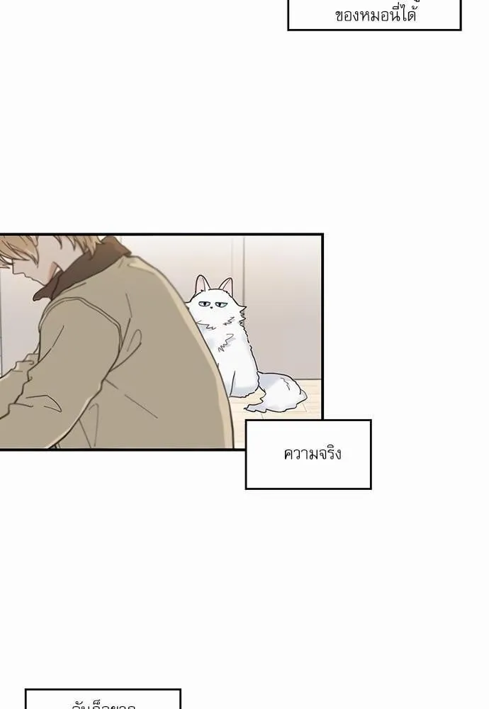 My One and Only Cat ตอนที่ 648 My One and Only Cat ตอนที่ 648