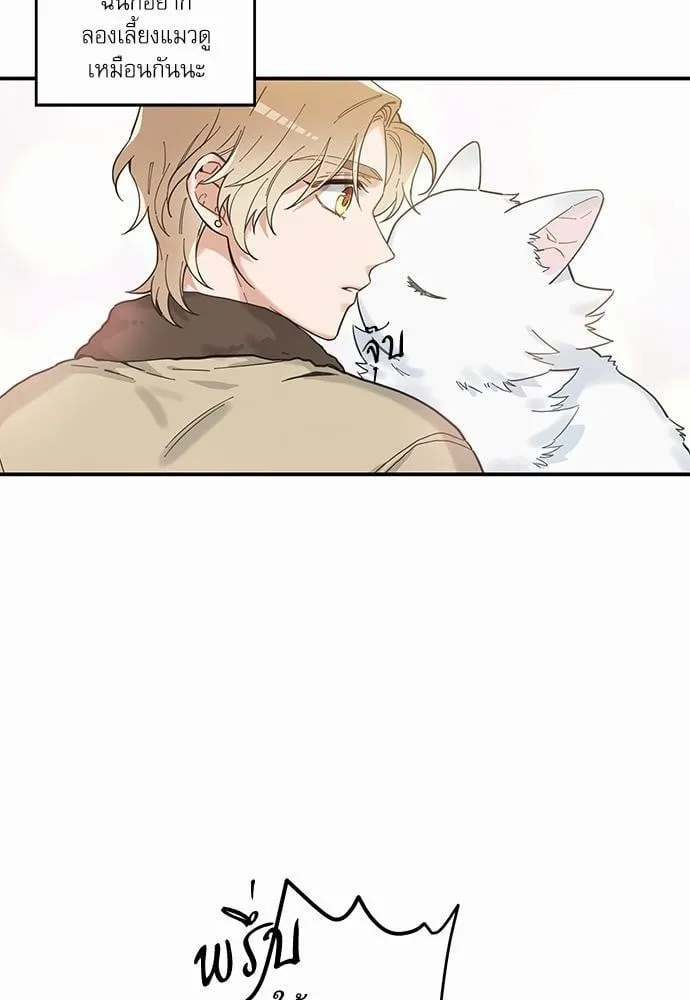 My One and Only Cat ตอนที่ 649 My One and Only Cat ตอนที่ 649