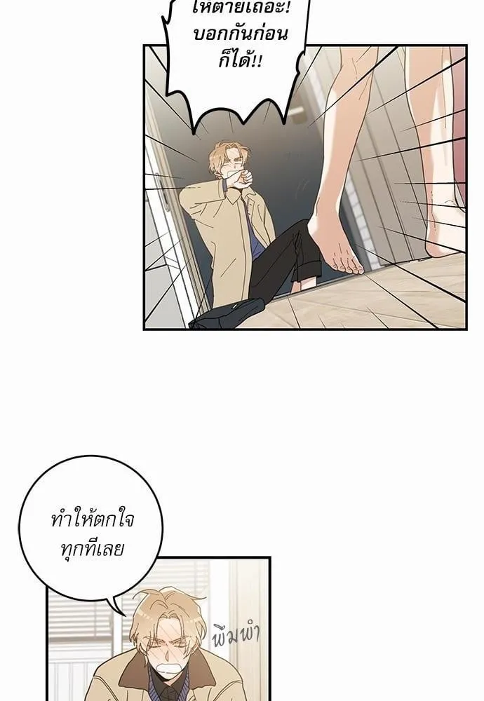 My One and Only Cat ตอนที่ 650 My One and Only Cat ตอนที่ 650