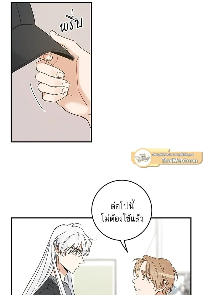 My One and Only Cat ตอนที่ 6505