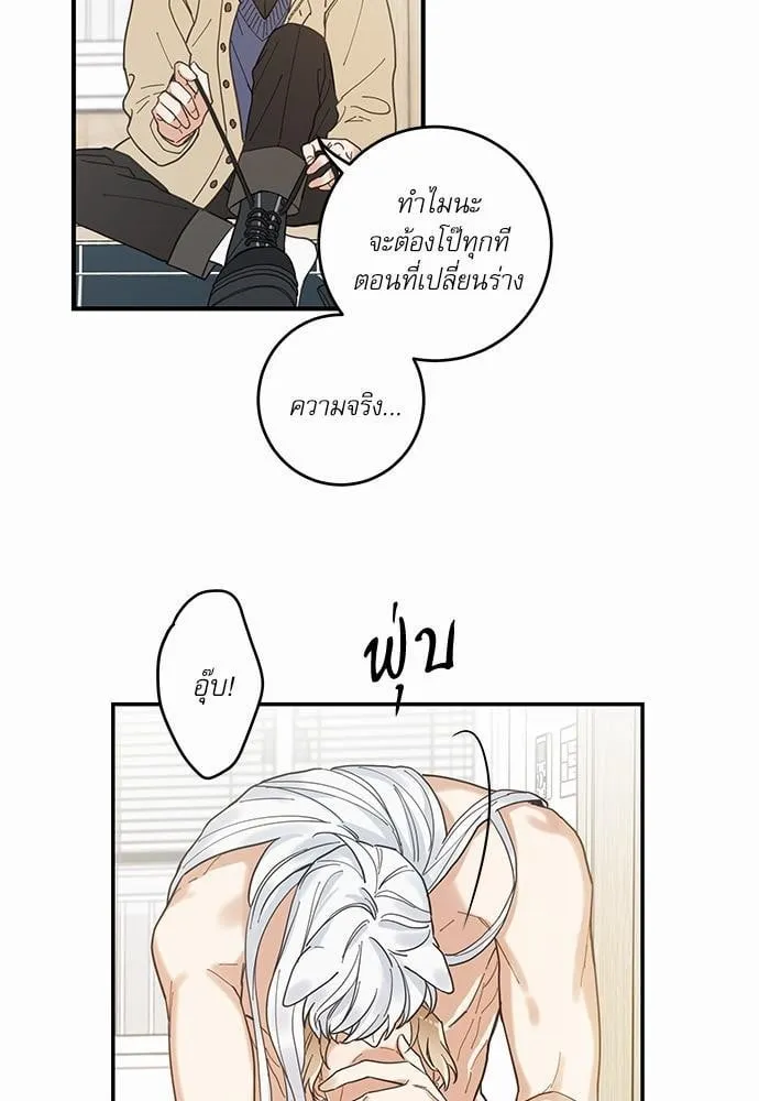 My One and Only Cat ตอนที่ 651 My One and Only Cat ตอนที่ 651