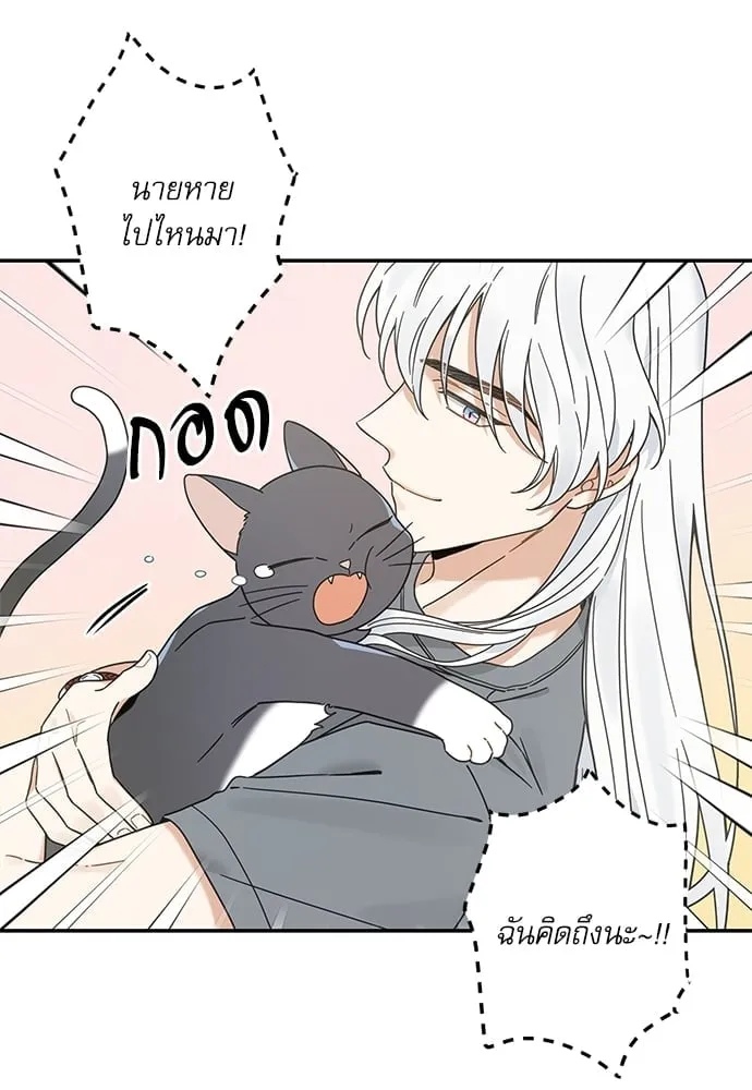 My One and Only Cat ตอนที่ 6514
