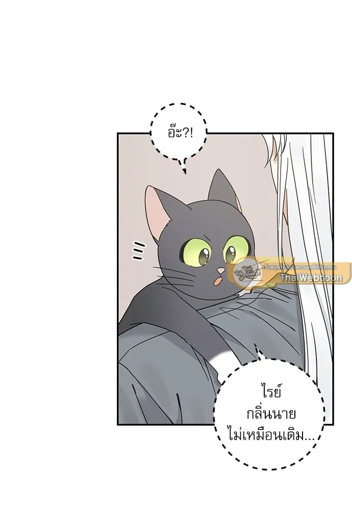 My One and Only Cat ตอนที่ 6516