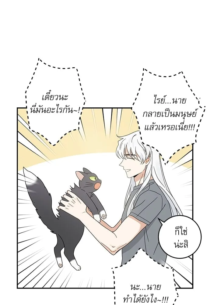 My One and Only Cat ตอนที่ 6517