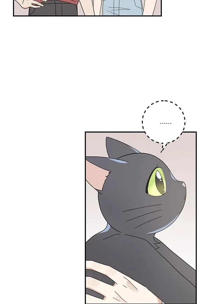 My One and Only Cat ตอนที่ 6519