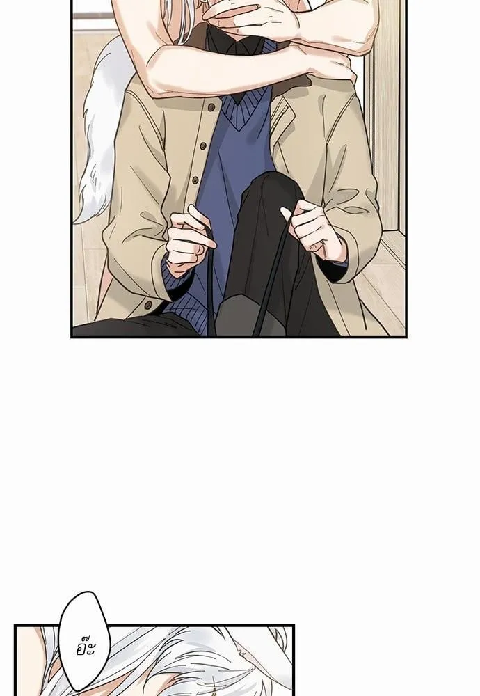 My One and Only Cat ตอนที่ 652 My One and Only Cat ตอนที่ 652