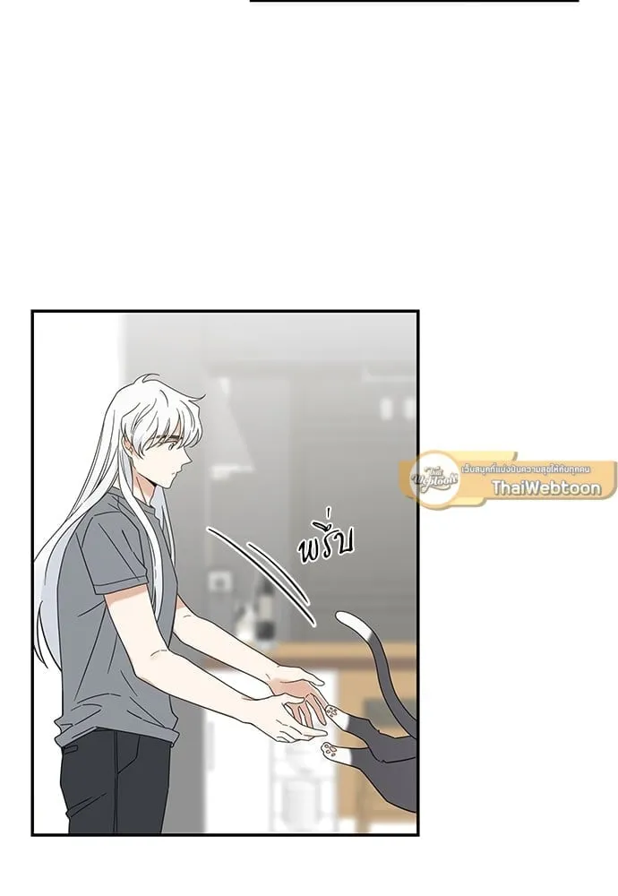 My One and Only Cat ตอนที่ 6520