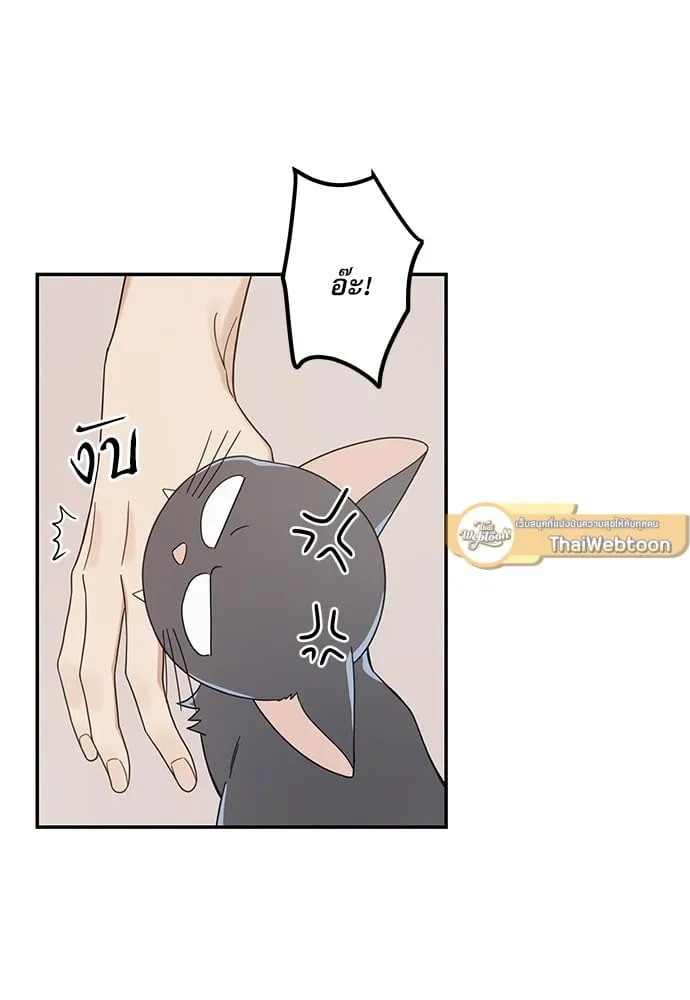 My One and Only Cat ตอนที่ 6522