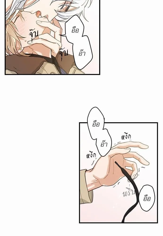 My One and Only Cat ตอนที่ 653 My One and Only Cat ตอนที่ 653