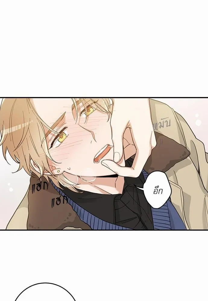 My One and Only Cat ตอนที่ 654 My One and Only Cat ตอนที่ 654