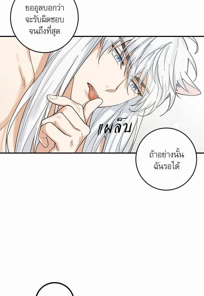 My One and Only Cat ตอนที่ 655 My One and Only Cat ตอนที่ 655