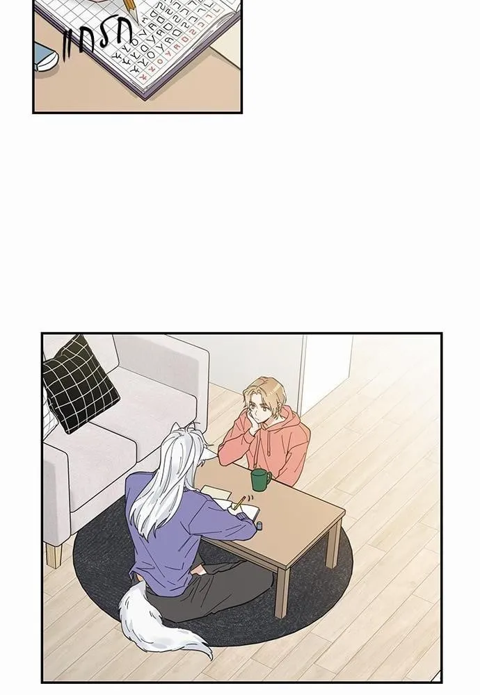 My One and Only Cat ตอนที่ 702 My One and Only Cat ตอนที่ 702