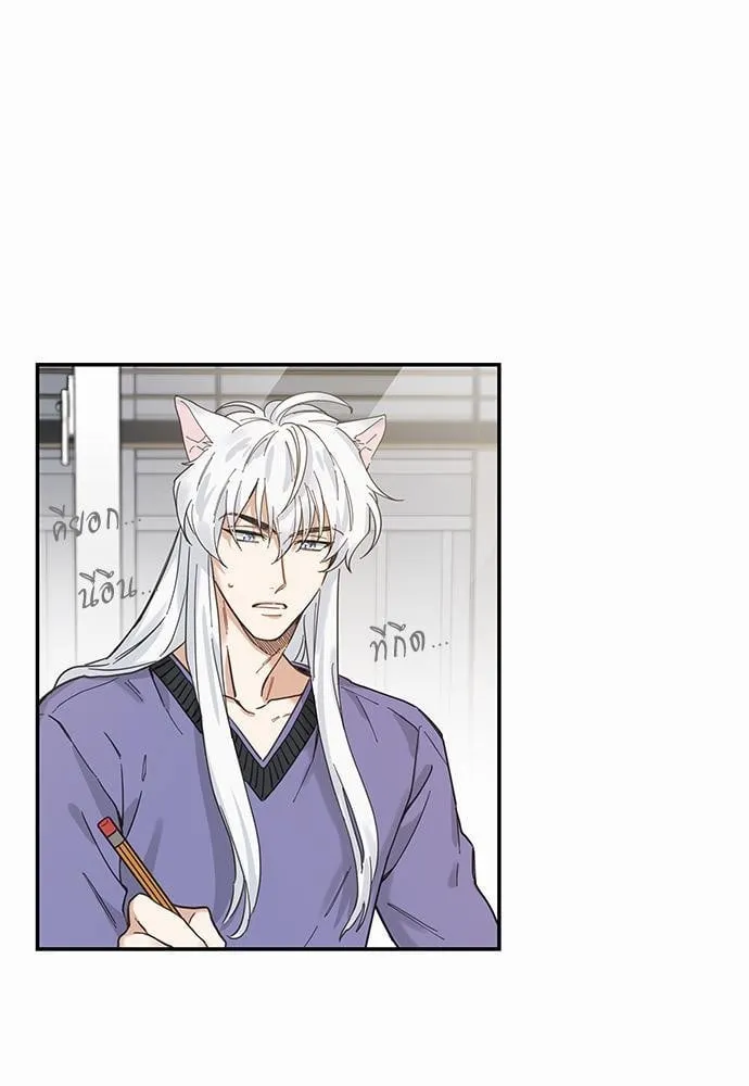 My One and Only Cat ตอนที่ 703 My One and Only Cat ตอนที่ 703