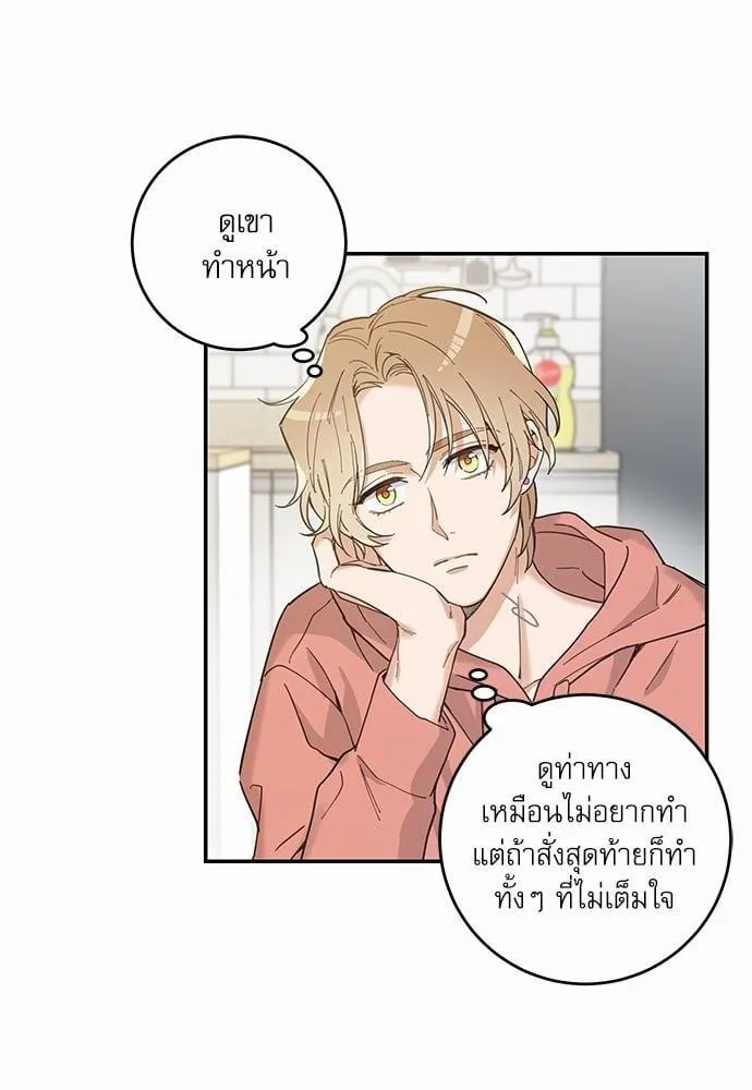 My One and Only Cat ตอนที่ 704 My One and Only Cat ตอนที่ 704
