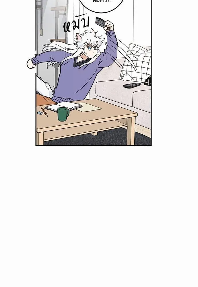 My One and Only Cat ตอนที่ 707 My One and Only Cat ตอนที่ 707