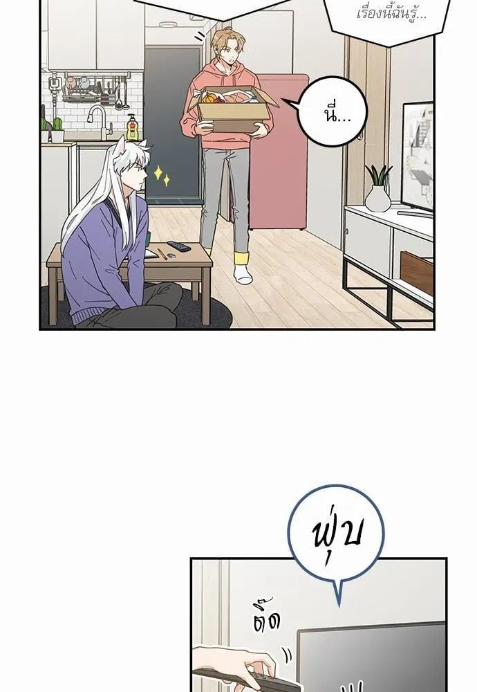 My One and Only Cat ตอนที่ 710 My One and Only Cat ตอนที่ 710