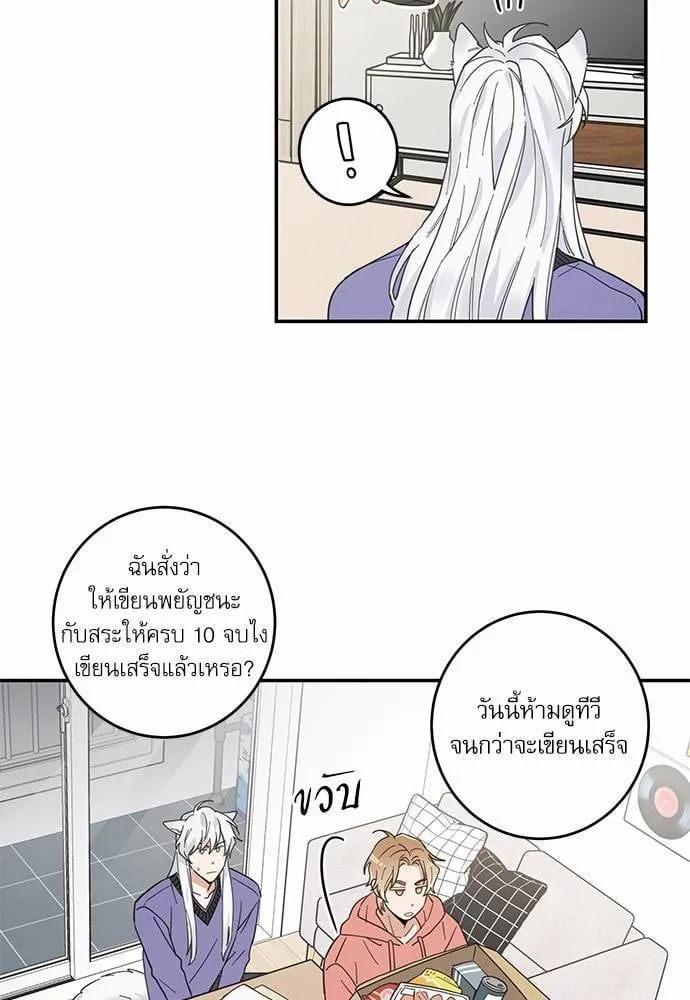 My One and Only Cat ตอนที่ 711 My One and Only Cat ตอนที่ 711
