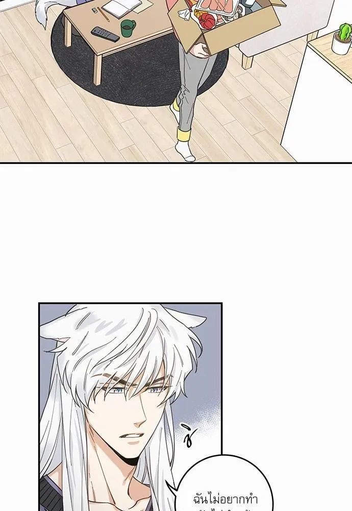 My One and Only Cat ตอนที่ 712 My One and Only Cat ตอนที่ 712