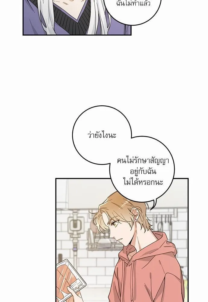 My One and Only Cat ตอนที่ 713 My One and Only Cat ตอนที่ 713