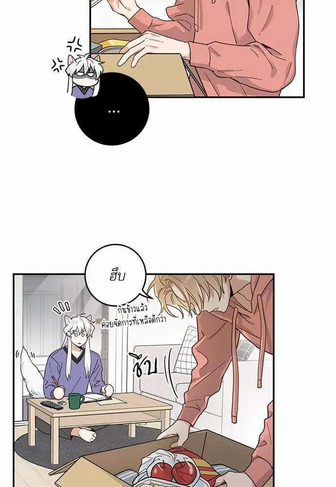 My One and Only Cat ตอนที่ 714 My One and Only Cat ตอนที่ 714