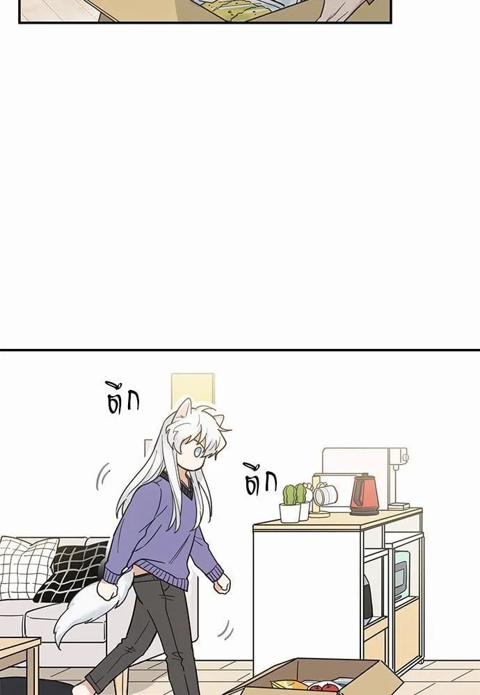 My One and Only Cat ตอนที่ 715 My One and Only Cat ตอนที่ 715