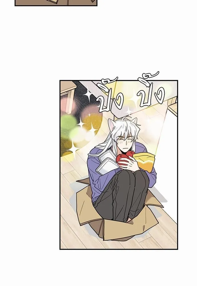 My One and Only Cat ตอนที่ 717 My One and Only Cat ตอนที่ 717