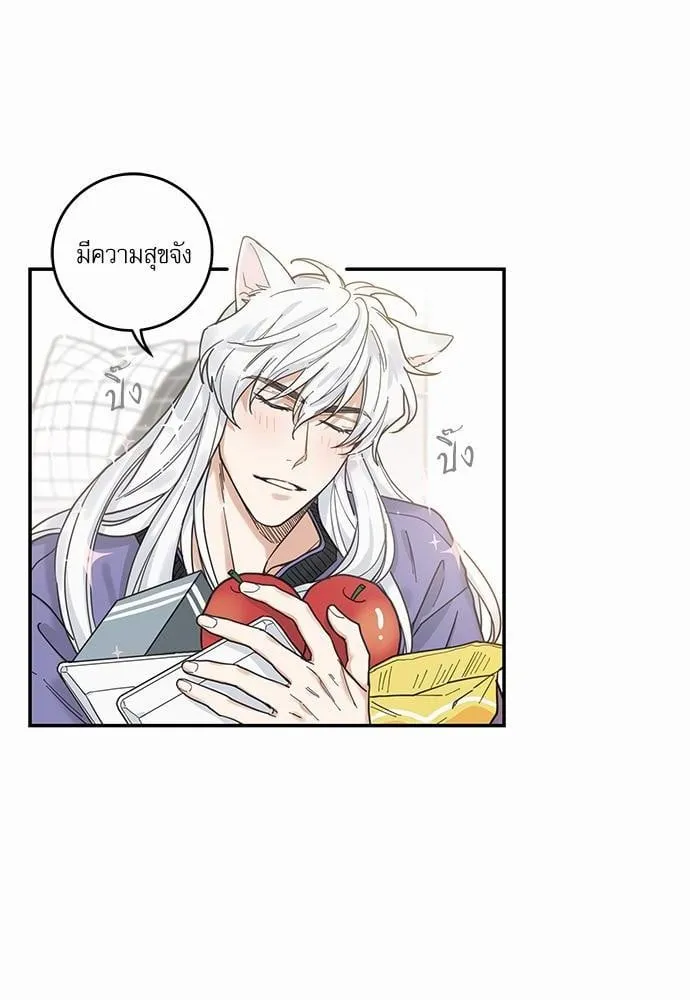 My One and Only Cat ตอนที่ 718 My One and Only Cat ตอนที่ 718