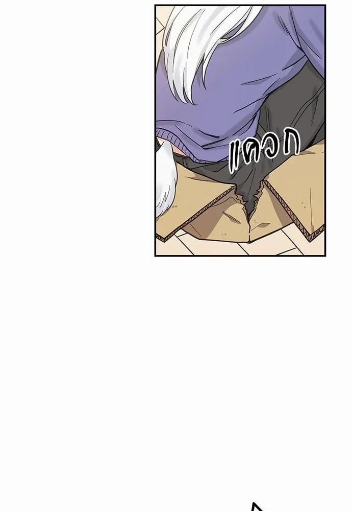 My One and Only Cat ตอนที่ 719 My One and Only Cat ตอนที่ 719