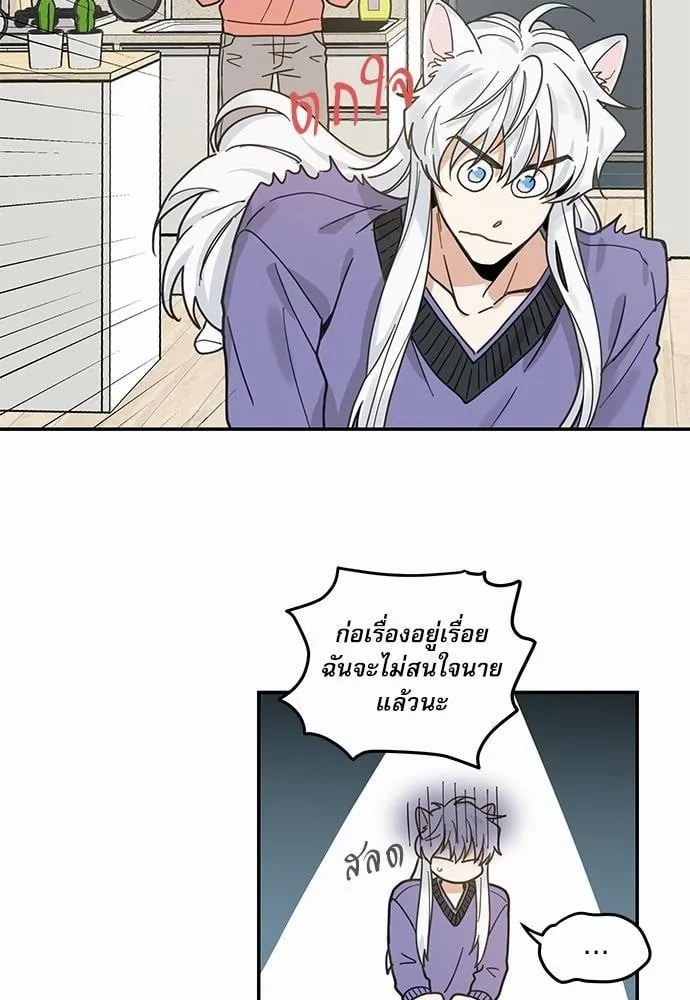 My One and Only Cat ตอนที่ 722 My One and Only Cat ตอนที่ 722