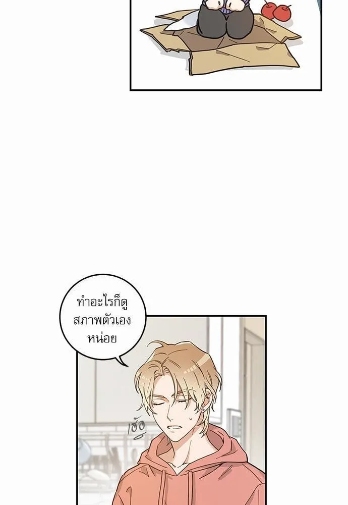 My One and Only Cat ตอนที่ 723 My One and Only Cat ตอนที่ 723