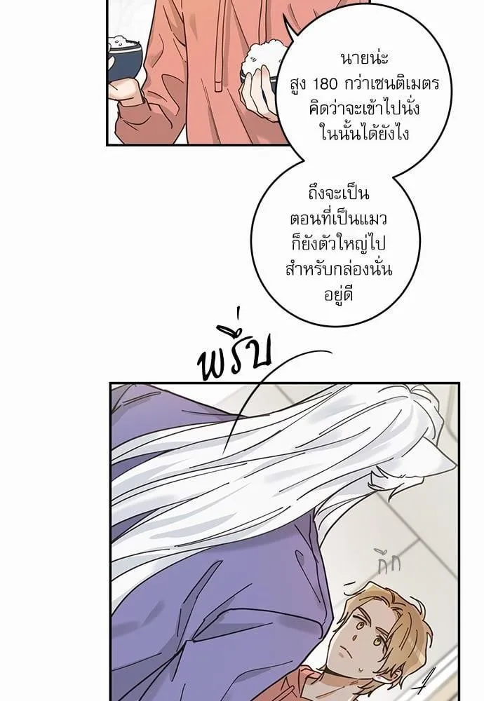 My One and Only Cat ตอนที่ 724 My One and Only Cat ตอนที่ 724