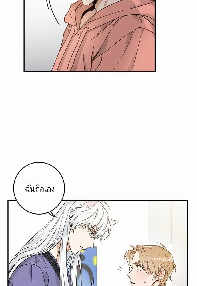 My One and Only Cat ตอนที่ 726 My One and Only Cat ตอนที่ 726