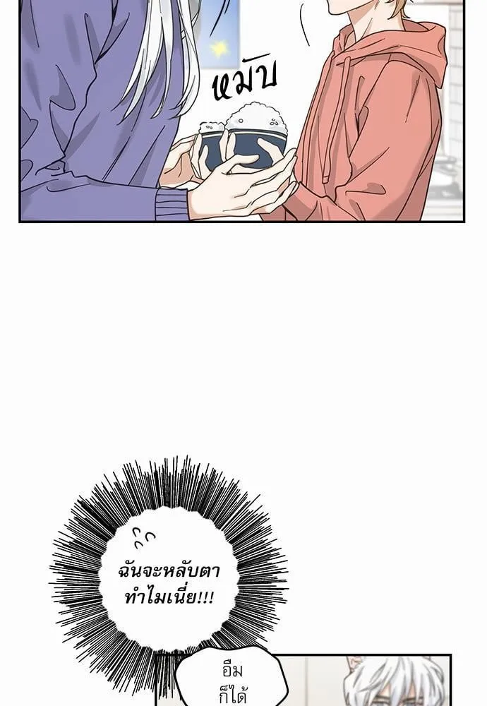 My One and Only Cat ตอนที่ 727 My One and Only Cat ตอนที่ 727