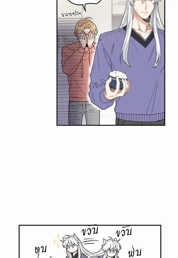 My One and Only Cat ตอนที่ 728 My One and Only Cat ตอนที่ 728