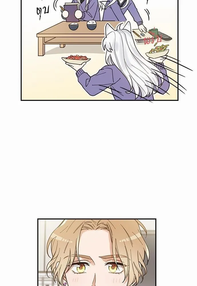 My One and Only Cat ตอนที่ 729 My One and Only Cat ตอนที่ 729