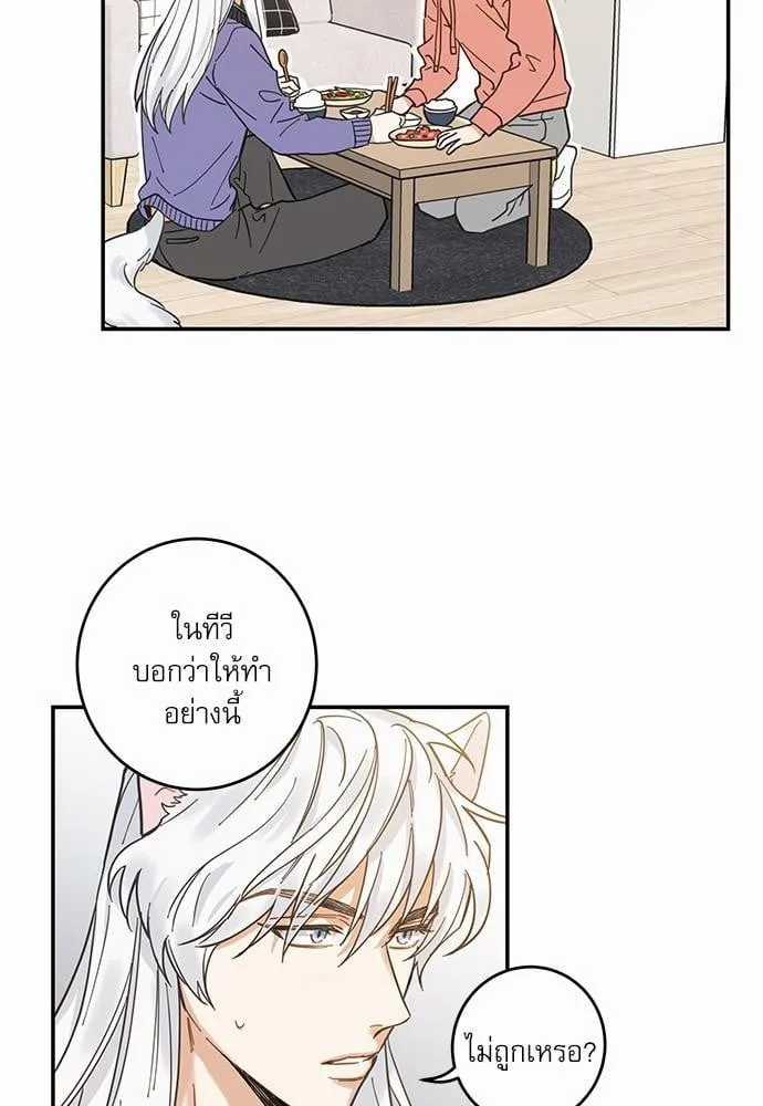 My One and Only Cat ตอนที่ 731 My One and Only Cat ตอนที่ 731