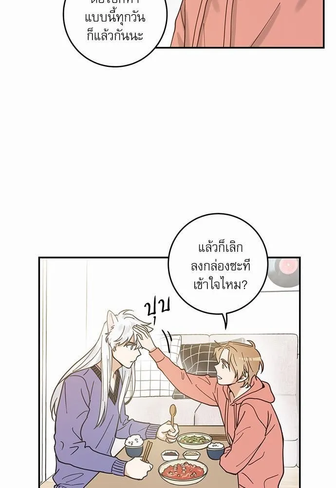 My One and Only Cat ตอนที่ 733 My One and Only Cat ตอนที่ 733