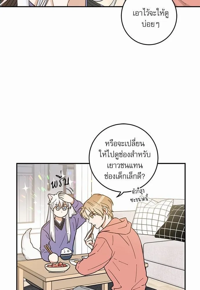 My One and Only Cat ตอนที่ 735 My One and Only Cat ตอนที่ 735