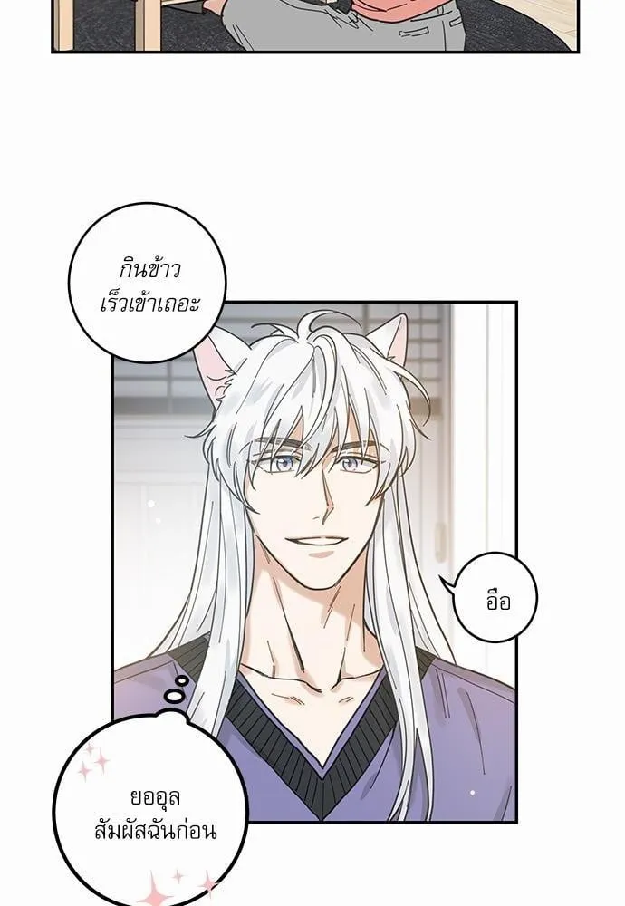 My One and Only Cat ตอนที่ 736 My One and Only Cat ตอนที่ 736