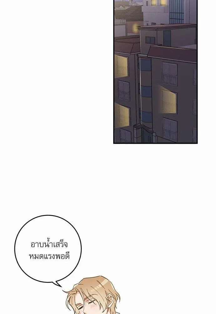 My One and Only Cat ตอนที่ 738 My One and Only Cat ตอนที่ 738