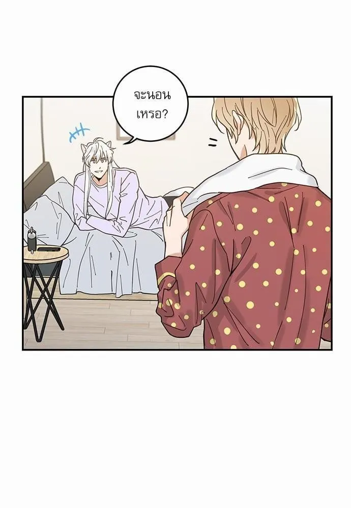 My One and Only Cat ตอนที่ 740 My One and Only Cat ตอนที่ 740