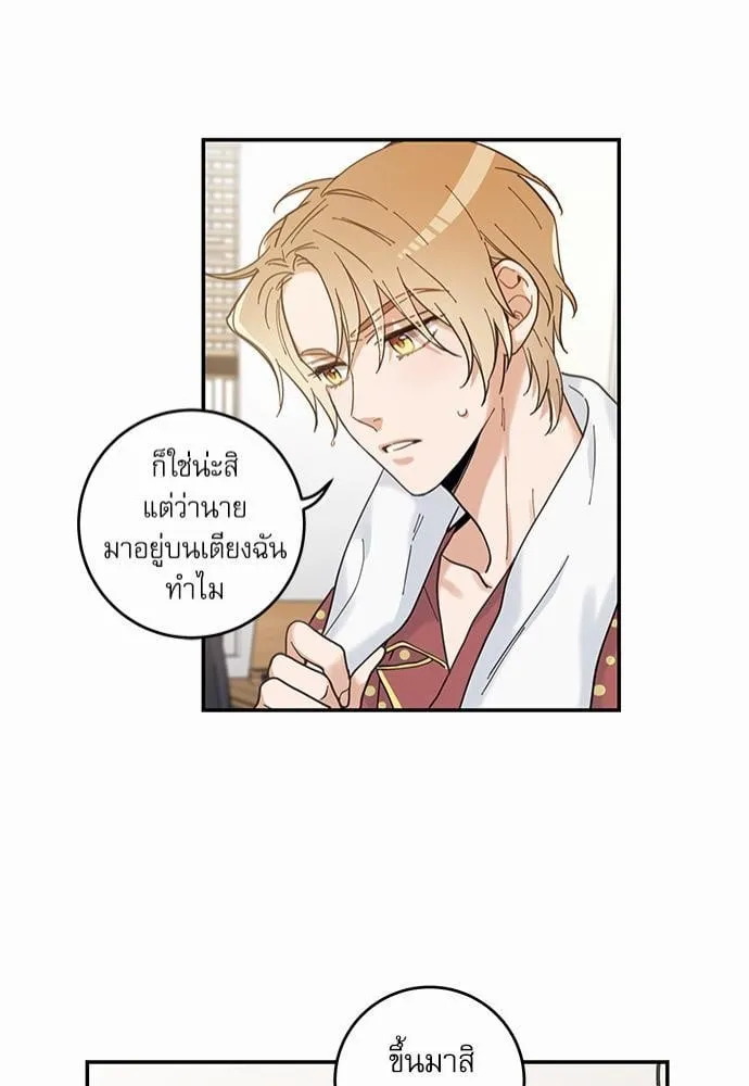 My One and Only Cat ตอนที่ 741 My One and Only Cat ตอนที่ 741