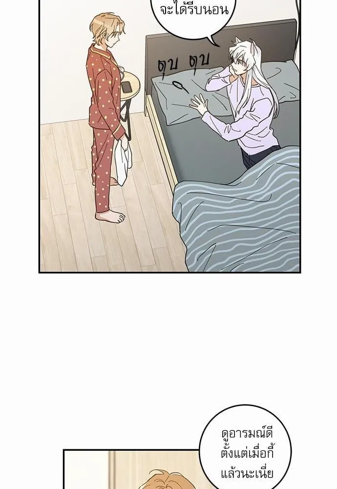 My One and Only Cat ตอนที่ 742 My One and Only Cat ตอนที่ 742