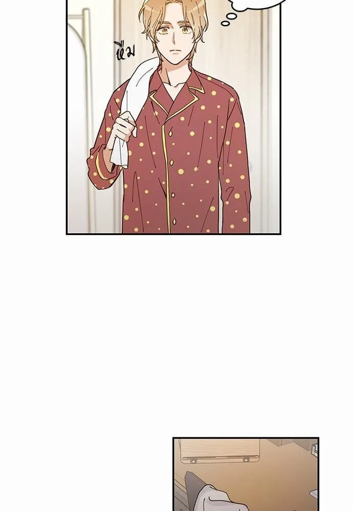 My One and Only Cat ตอนที่ 743 My One and Only Cat ตอนที่ 743