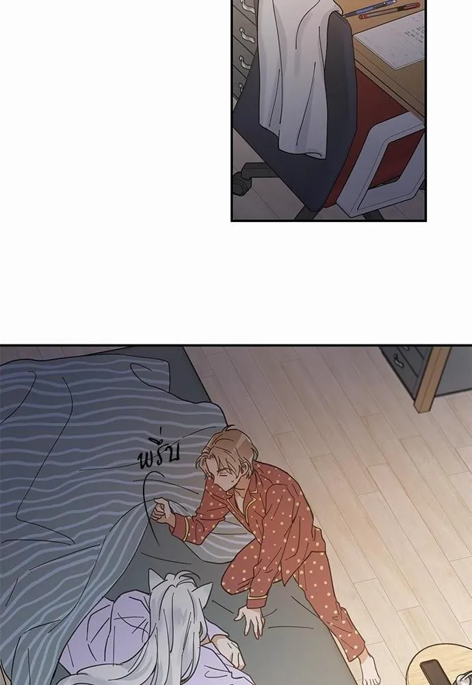 My One and Only Cat ตอนที่ 744 My One and Only Cat ตอนที่ 744