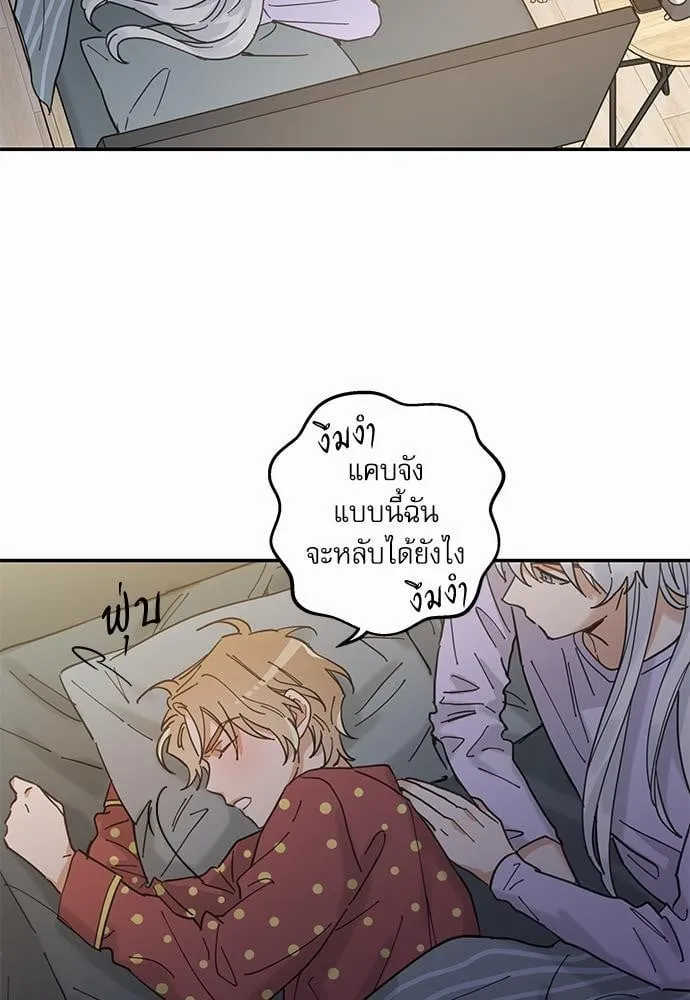 My One and Only Cat ตอนที่ 745 My One and Only Cat ตอนที่ 745