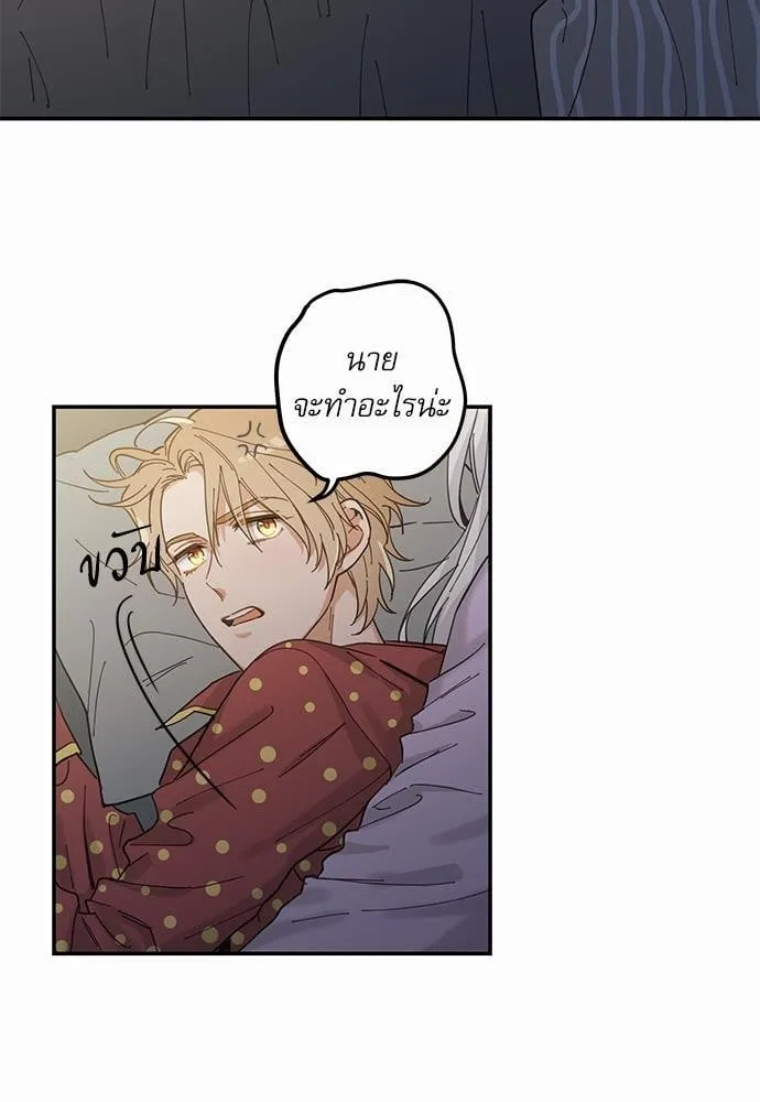 My One and Only Cat ตอนที่ 749 My One and Only Cat ตอนที่ 749